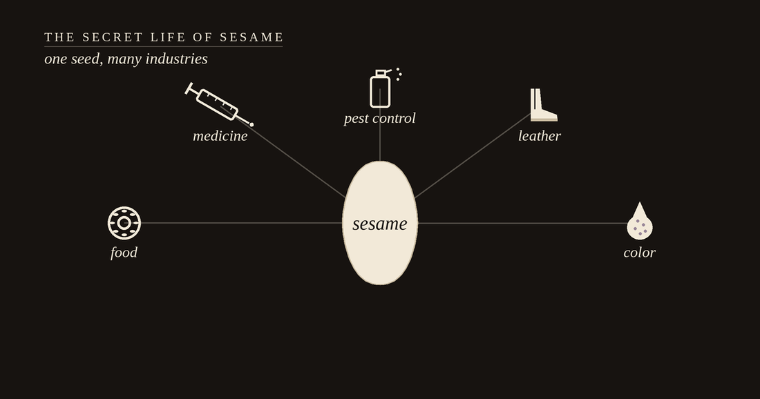A single sesame seed with lines radiating to five industries — food, medicine, pest control, leather, and color