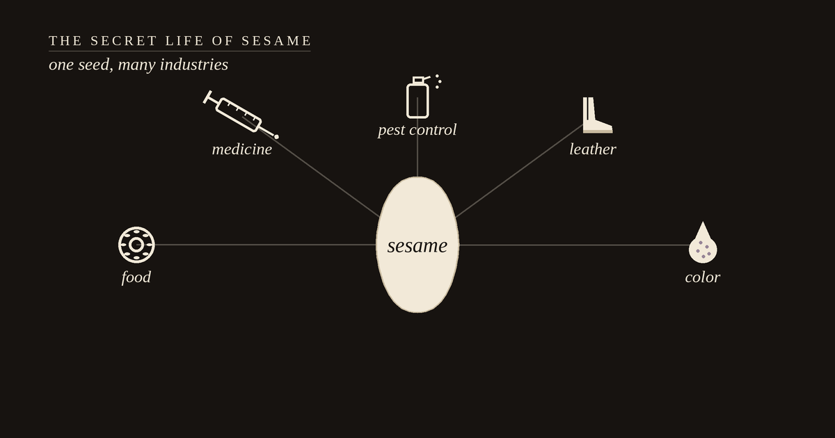 A single sesame seed with lines radiating to five industries — food, medicine, pest control, leather, and color
